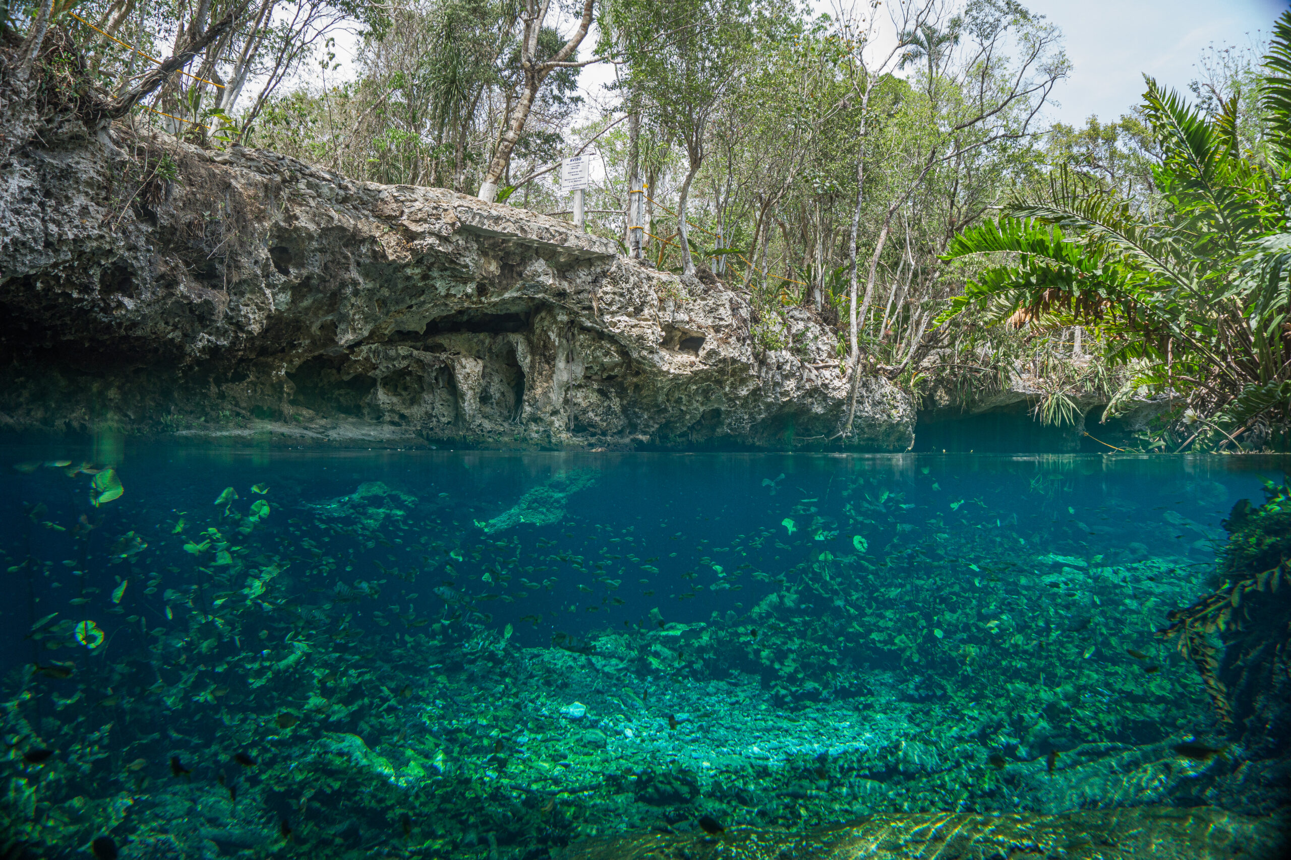 cenote 2