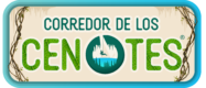 cenotes logo