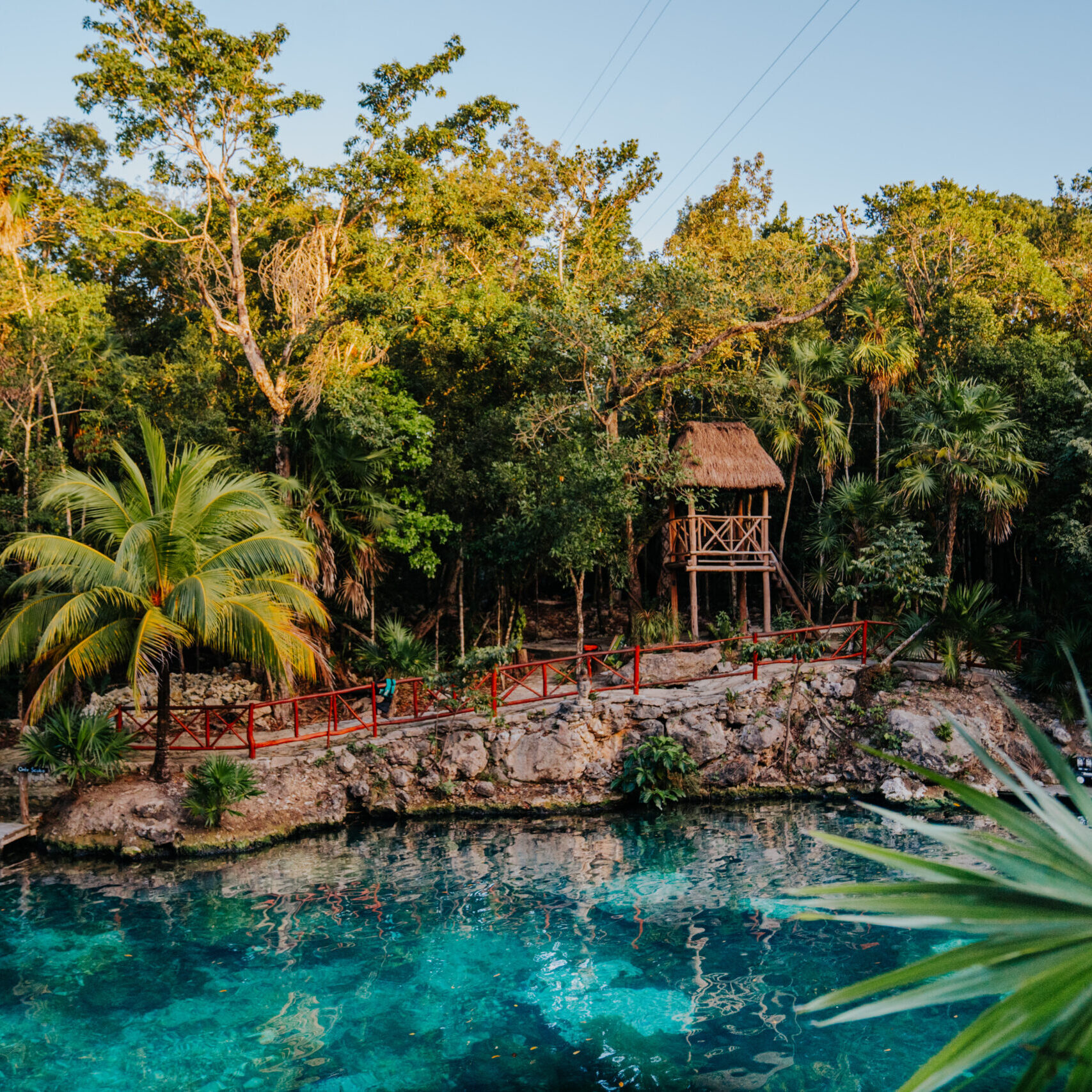 cenotes (59)